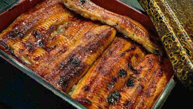 土用の丑の日ってなんでうなぎを食べるの？【鰻・ウナギ】