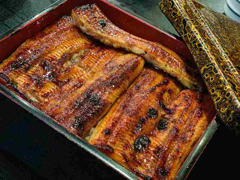 土用の丑の日ってなんでうなぎを食べるの？【鰻・ウナギ】